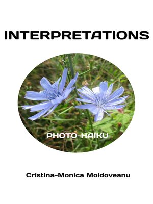cover image of Interpretations